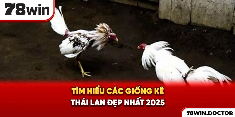 Tìm hiểu các giống kê Thái Lan đẹp nhất 2025